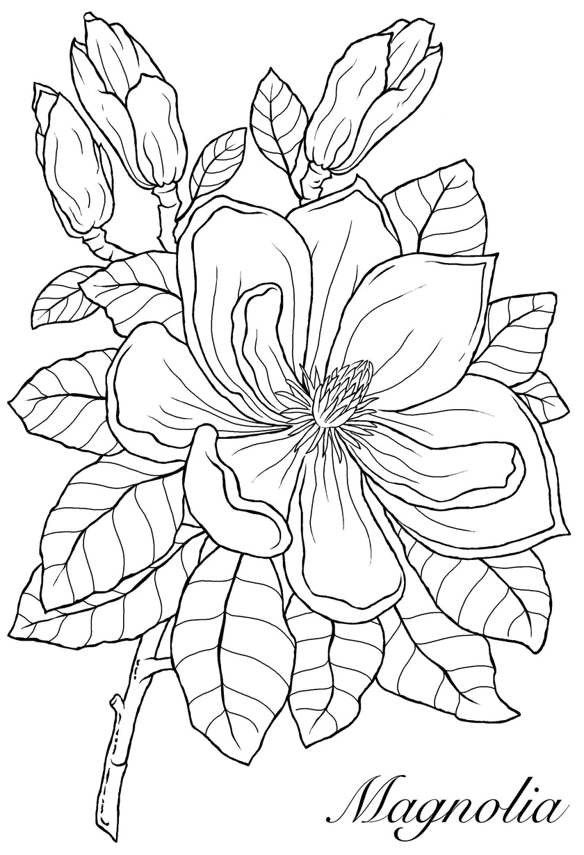 Woodware Clear Singles Magnolia 4 in x 6 in Stamp