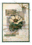 JMA Clear Stamp Give Thanks Growing & Blooming 13 Pieces