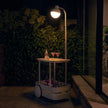 Jolly Trolley