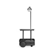 Jolly Trolley