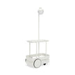 Jolly Trolley