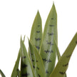 Jose Artificial Snake Sansevieria Dark Green Potted Plant 26