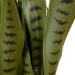 Jose Artificial Snake Sansevieria Dark Green Potted Plant 26