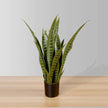 Jose Artificial Snake Sansevieria Dark Green Potted Plant 26