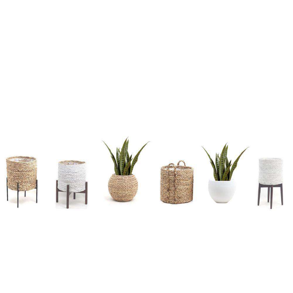 Jose Artificial Snake Sansevieria Dark Green Potted Plant 26
