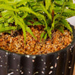 Jula Potted Faux Fern