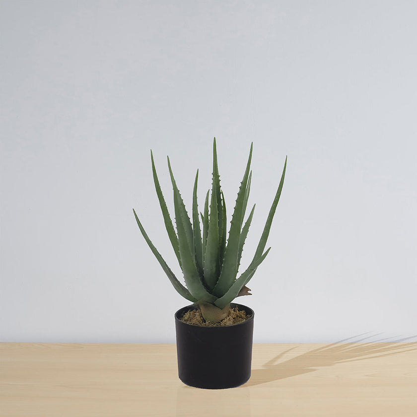 Guamo Artificial Aloe Vera Potted Plant (Multiple Sizes)