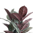 Salamina Artificial Rubber Potted Plant 3'