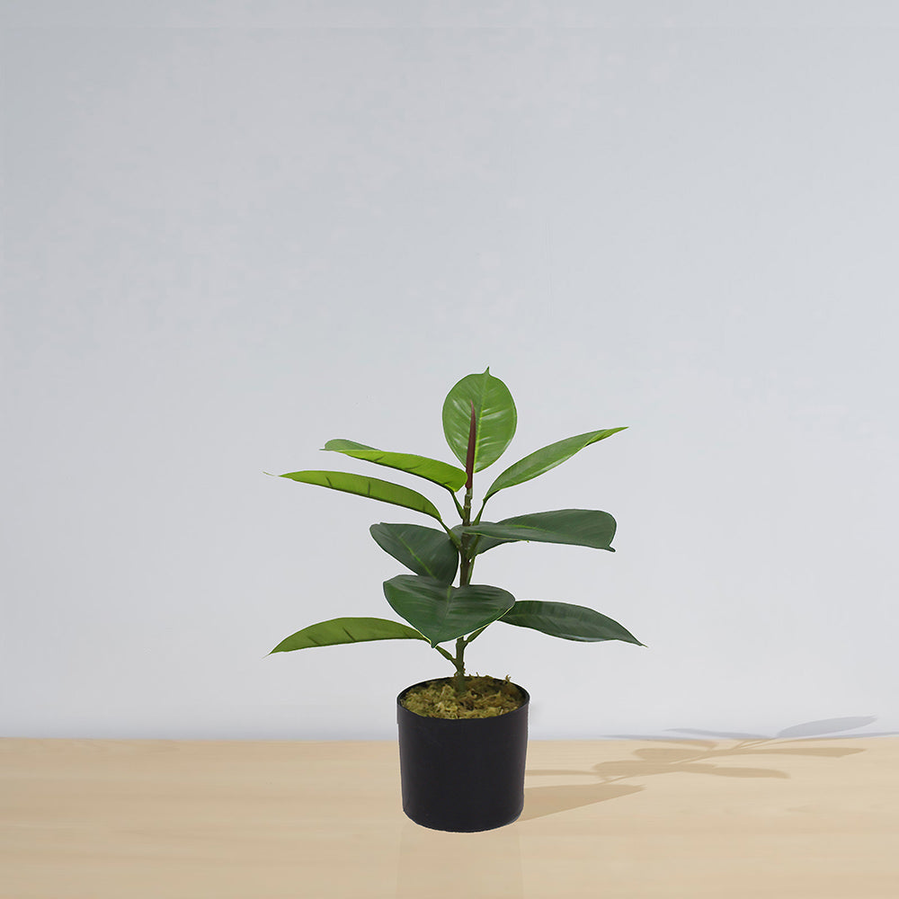 Iza Artificial Rubber Potted Plant 1.4'