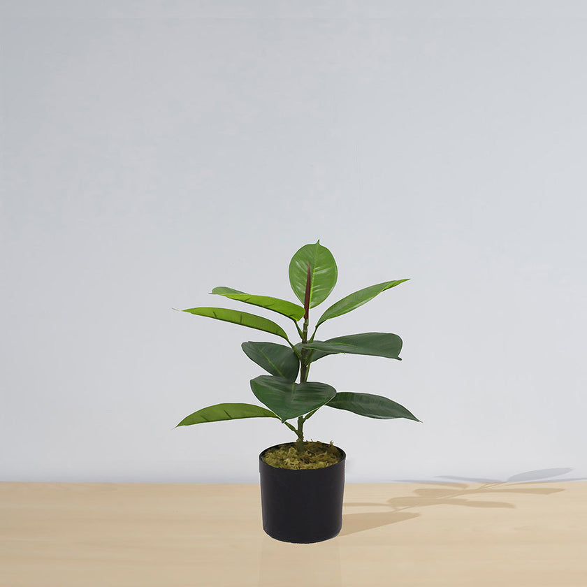 Iza Artificial Rubber Potted Plant 1.4'