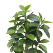 Encanto Artificial Rubber Potted Plant (Multiple Sizes)
