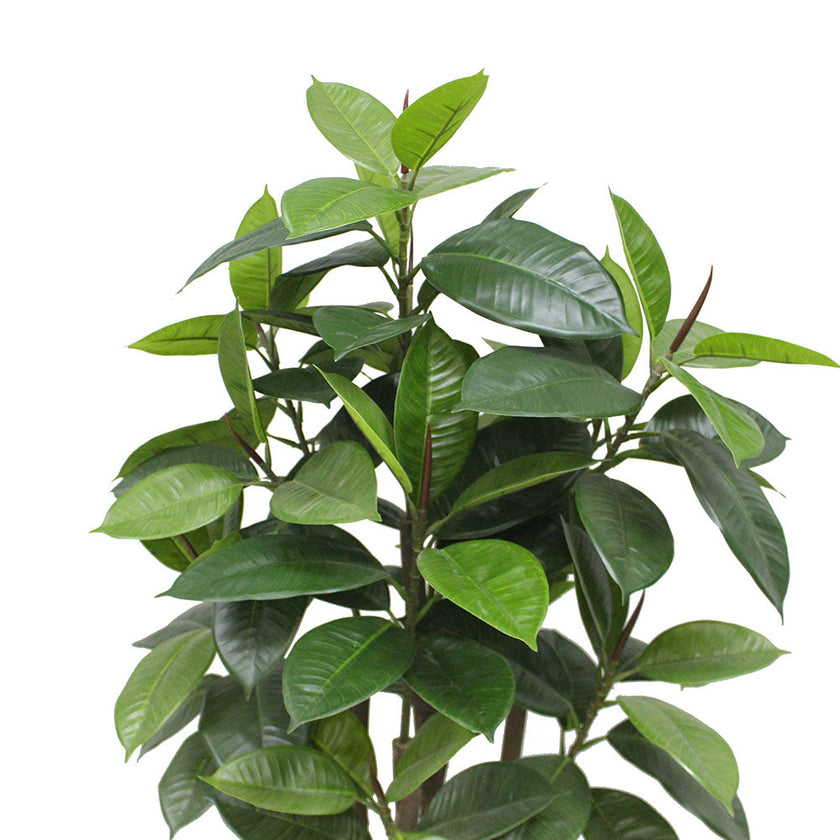 Encanto Artificial Rubber Potted Plant (Multiple Sizes)