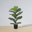 Anza Artificial Fiddle Leaf Potted Plant (Multiple Sizes)
