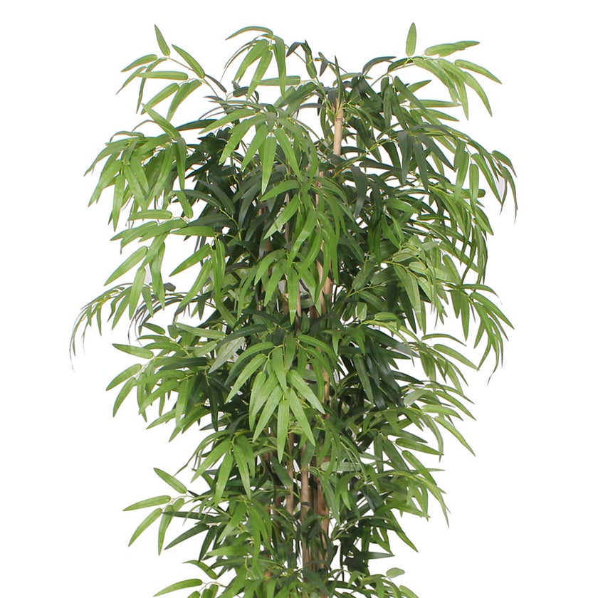Ceja Artificial Korea Bamboo Potted Plant (Multiple Sizes)