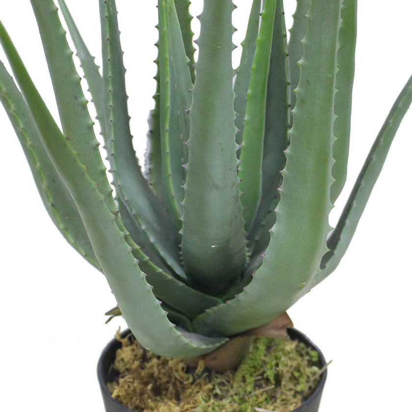 Guamo Artificial Aloe Vera Potted Plant (Multiple Sizes)