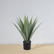 Tunja Artificial Century Potted Plant (Multiple Sizes)