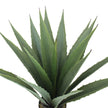 Tunja Artificial Century Potted Plant (Multiple Sizes)