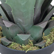 Tunja Artificial Century Potted Plant (Multiple Sizes)