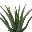 Guamo Artificial Aloe Vera Potted Plant (Multiple Sizes)