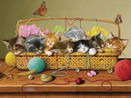 Jack Pine - Basket Case (1000-Piece Puzzle)