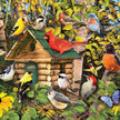 Jack Pine - Bird Cabin