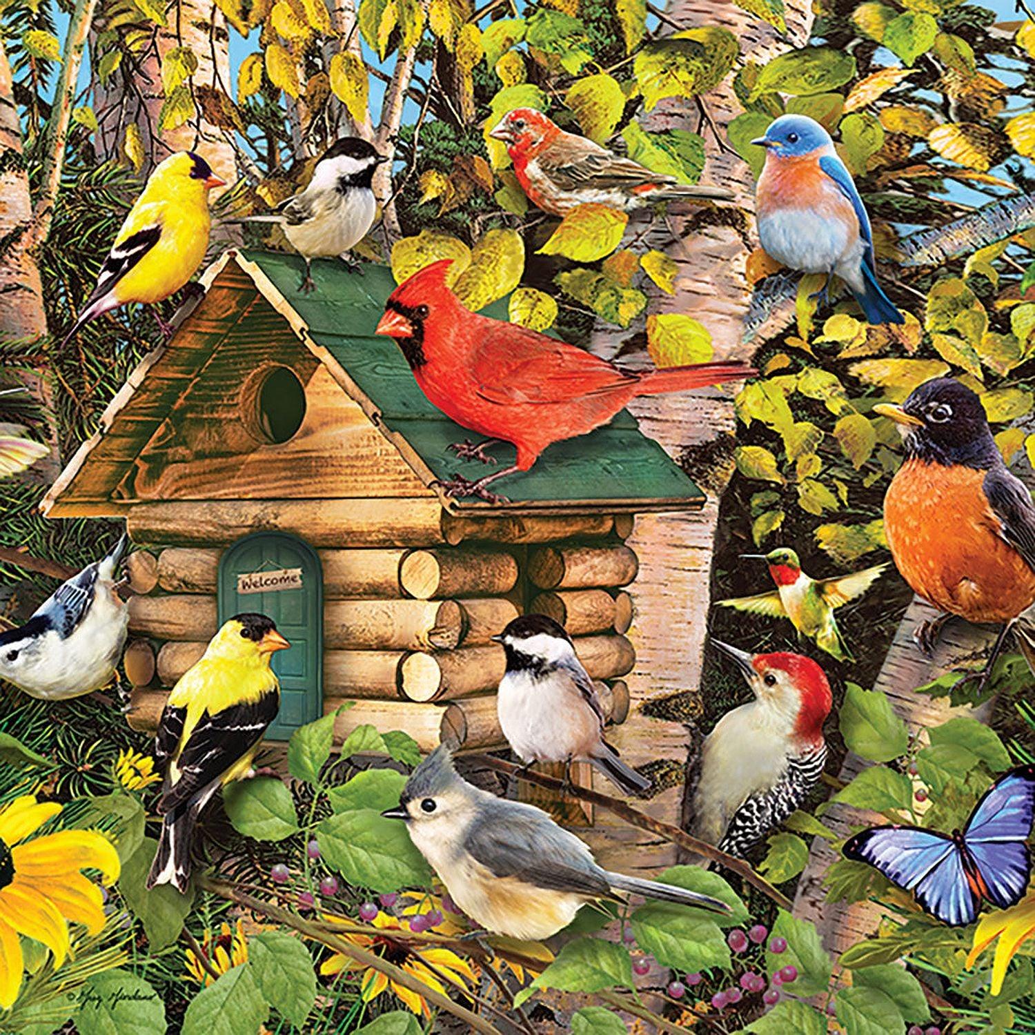 Jack Pine - Bird Cabin
