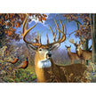 Jack Pine - Deer And Pheasant (1000-Piece Puzzle)