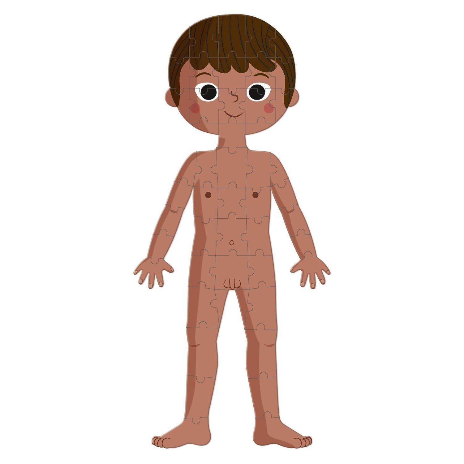 Janod - 4in 1 Educational Puzzle - Human Body