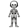 Janod - 4in 1 Educational Puzzle - Human Body