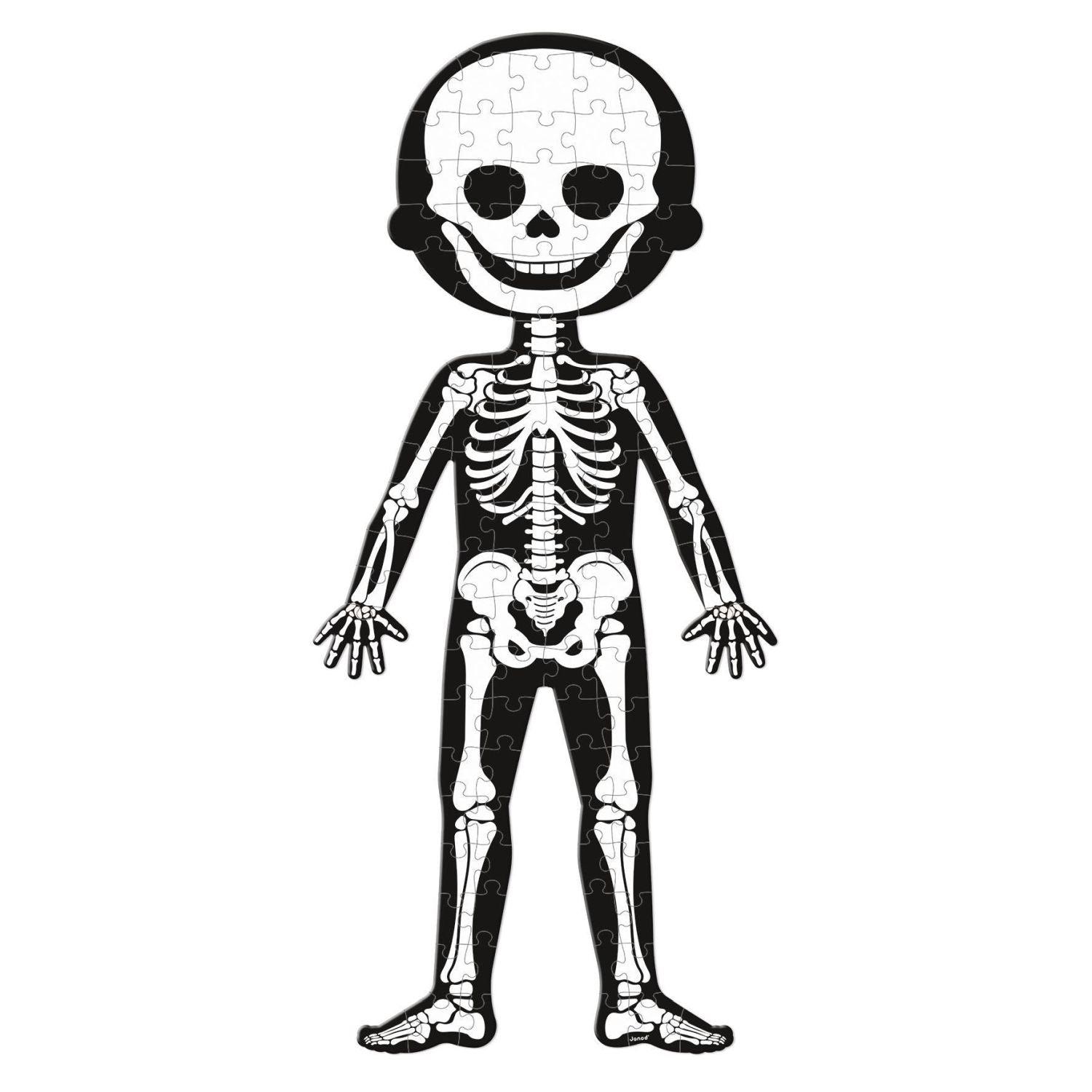 Janod - 4in 1 Educational Puzzle - Human Body