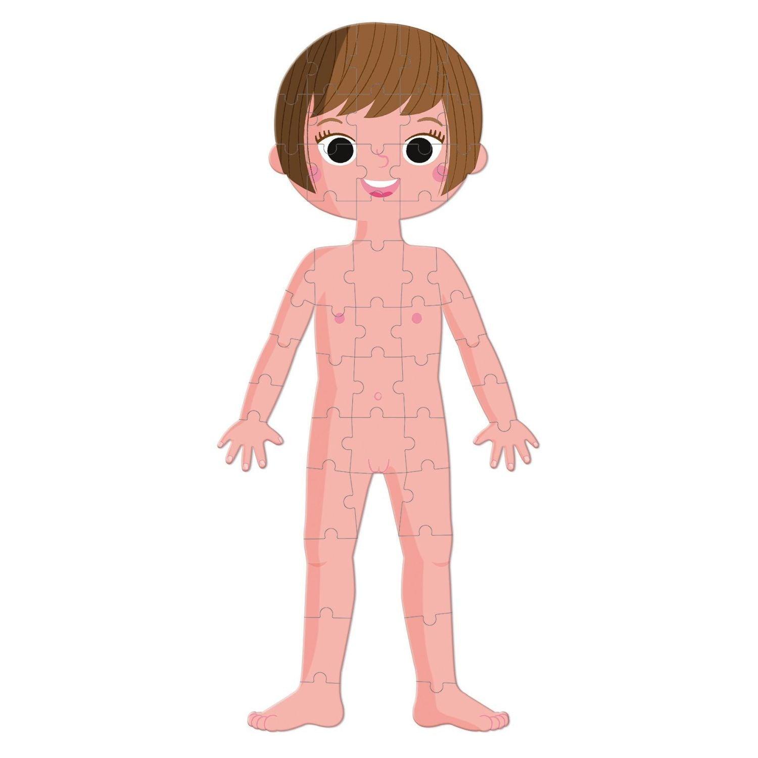 Janod - 4in 1 Educational Puzzle - Human Body