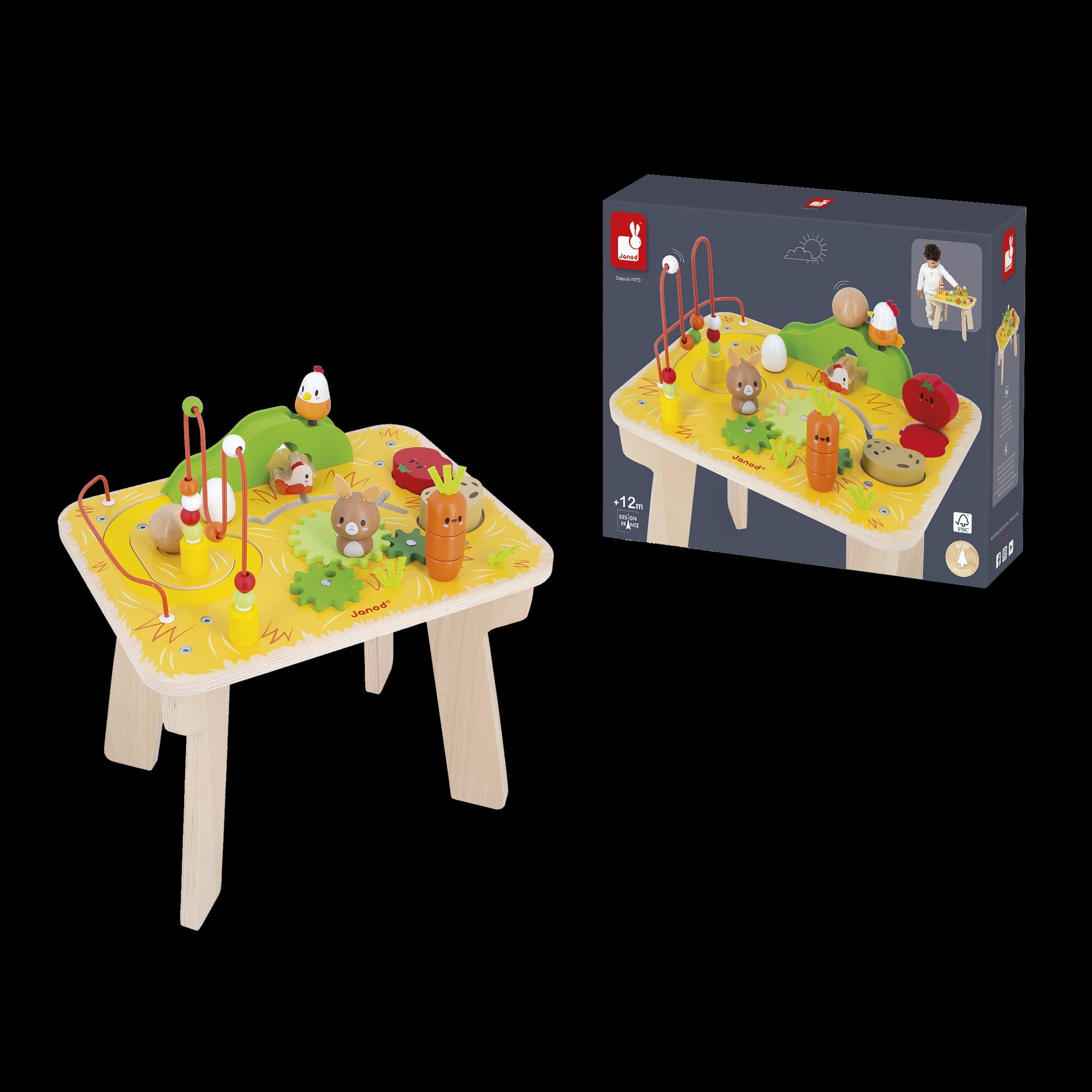 Janod - FARM: ACTIVITY TABLE