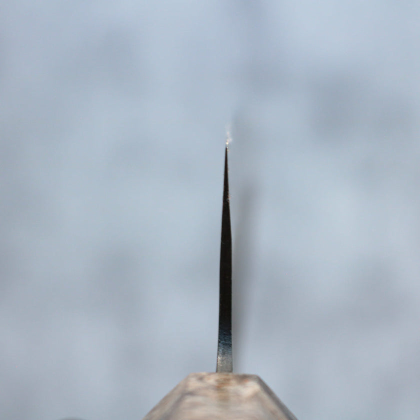 Hatsukokoro Aokitae Gyuto 210mm