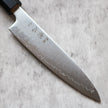 Hatsukokoro Hikari SLD Petty 130mm