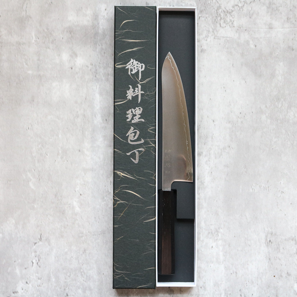 Hatsukokoro Hikari SLD Gyuto 210 mm