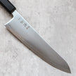 Hatsukokoro Hikari SLD Gyuto 210 mm