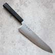 Hatsukokoro Hikari SLD Gyuto 210 mm