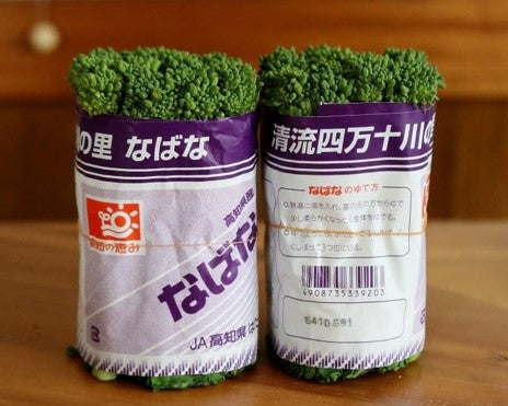 SE: Japanese Nanohana
