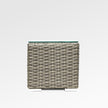 Jasmine End Table with Tempered Glass Top