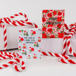 Have Your-Elf A Merry Little Christmas! - Greeting Card