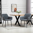 Robbie Dining Chairs Set of 2 with Armrest-Dark Grey