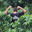Honduran House Roast - Ground, Medium Roast, Certified Organic OCIA/ Fairtade Coffee 1lb/454g