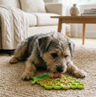 Crispy Grapes™ Lick Mat