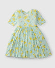 Short Sleeve Skater Dress - Lemon Squeezy