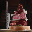 LUCIA 20 | Chef Knife 8Cr18Mov Steel Core / Pakka wood handle