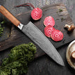 Ginza Steel MIA 24 Chef Knife 9” – Damascus AUS10, 67-Layer, Olive Wood Handle