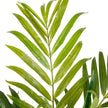 Kentia Artificial King Palm Potted Plant 5'