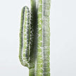 Ketzal Artificial Cactus Potted Plant 7'