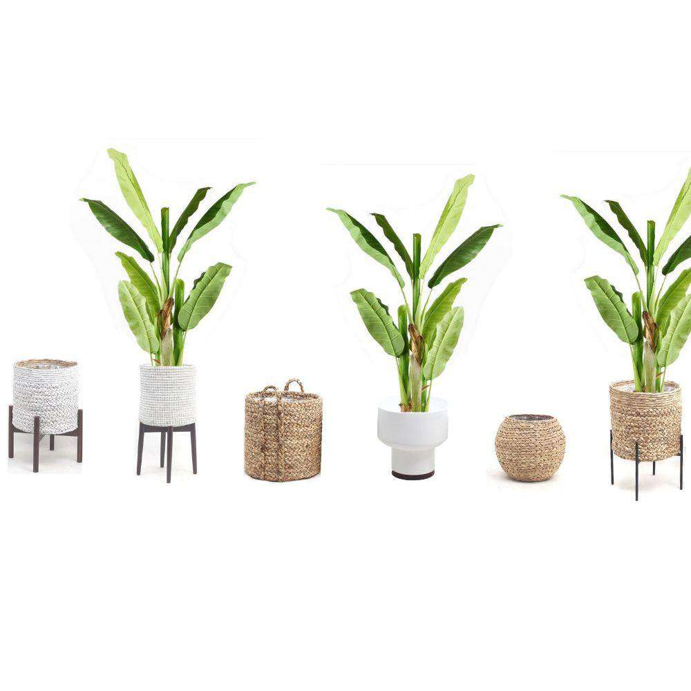 Kiki Artificial Banana Tree Potted Plant 55''