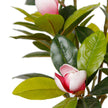 Kira Artificial Magnolia Tree Potted Plant 28